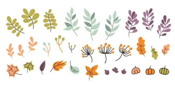 Doodle Conjunto Mão Desenhada Queda Elementos Design Floral — Vetor de Stock