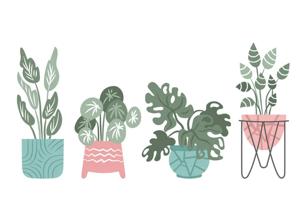 Hand Drawn Indoor House Plant Pots Collection — Stock Vector