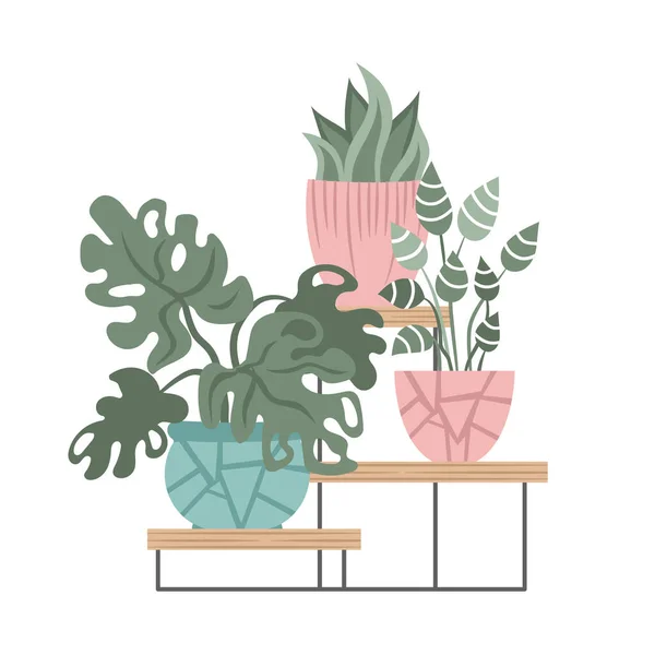 Handgezeichnete Zimmerpflanzensammlung Töpfe Und Regale — Stockvektor