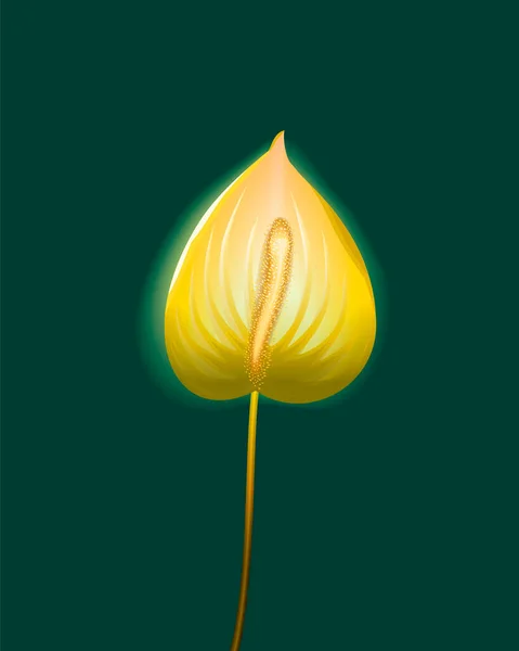 Όμορφο Λουλούδι Ανθούριο Στο Κέντρο Σκούρο Πράσινο Φόντο Χειροποίητη Απεικόνιση — Φωτογραφία Αρχείου
