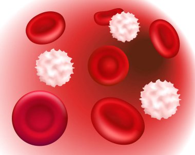 Bir damarda kırmızı ve beyaz kan hücreleri. Mikroskop altında sağlıklı insan kanı. Kan plazmasındaki kırmızı kan hücrelerinin büyütülmesi. 3d illüstrasyon.