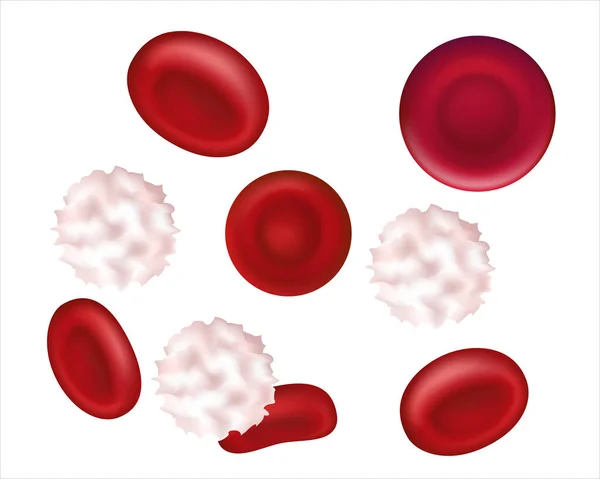 Glóbulos Rojos Blancos Humanos Sanos Bajo Microscopio Aumento Glóbulos Rojos — Foto de Stock