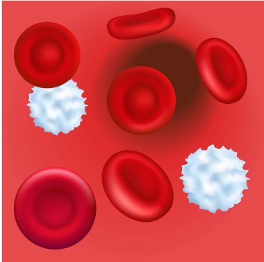 Bir damarda kırmızı ve beyaz kan hücreleri. Mikroskop altında sağlıklı insan kanı. Kan plazmasında trombositlerde artış. 3 boyutlu illüstrasyon. Vektör illüstrasyonu EPS 10