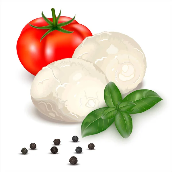 Dessin Réaliste Fromage Mozzarella Italien Décoré Feuilles Basilic Tomates Entières — Image vectorielle