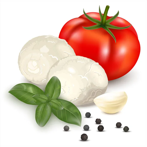 意大利莫扎莱奶酪的写实主义绘画 用罗勒叶 大蒜和西红柿装饰 用于标签 包装的在白色背景上隔离的矢量插图 — 图库矢量图片