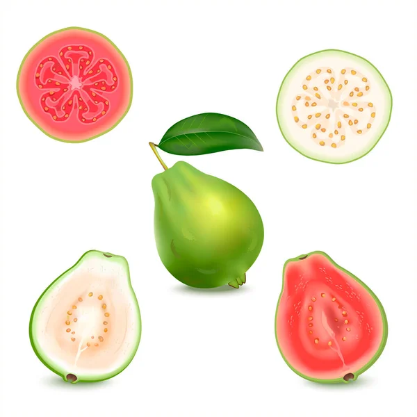 Zestaw Realistycznych Ilustracji Białej Czerwonej Guawy Świeża Cała Guawa Liśćmi — Wektor stockowy