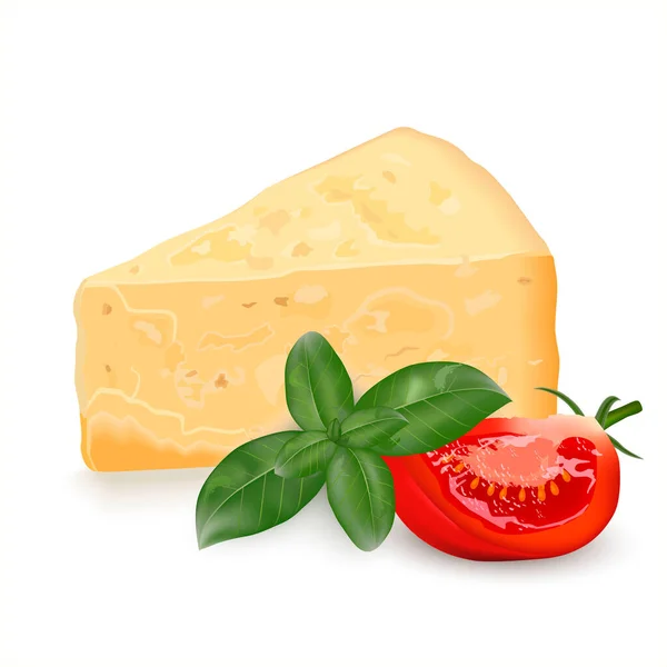 Une Tranche Parmesan Morceau Triangulaire Fromage Pâte Dure Décoré Avec — Image vectorielle