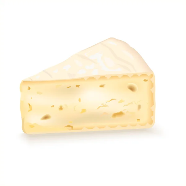 Una Rebanada Queso Brie Trozo Queso Blando Triangular Productos Lácteos — Archivo Imágenes Vectoriales