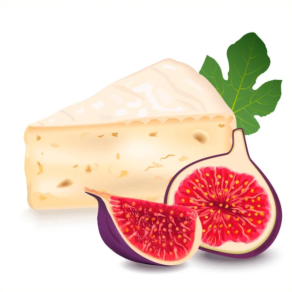 イチジクの入った片頭のブリーチーズ チーズのスライス 三角形の柔らかいチーズ 乳製品と果物 ソフトカマンベールチーズ 白い線で区切られた現実的なベクトル図 — ストックベクタ