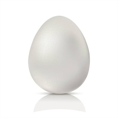 Gerçekçi beyaz tavuk yumurtası. Beyaz arkaplanda vektör çizimi izole edildi. Paskalya tatili için şablon. 3d illüstrasyon
