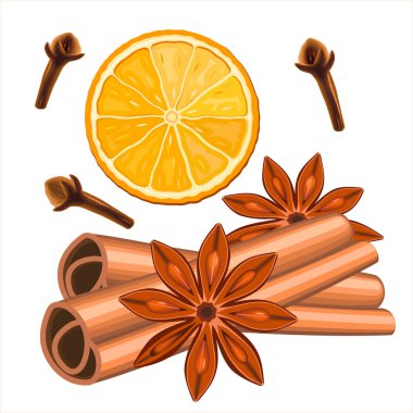 Noel için gerçek baharatlar, sıcak şarap. Kurutulmuş karanfil ve karabiber. Noel kokusu tarçın, portakal ve anason baharatları beyaz arka planda izole edilmiş. Vektör illüstrasyonu EPS 10