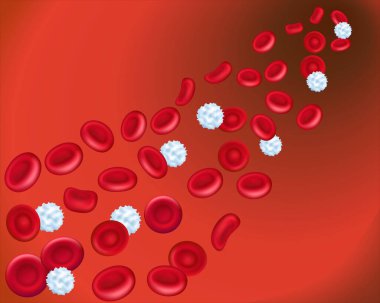 Atardamardaki sağlıklı insan kırmızı ve beyaz kan hücreleri. Kırmızı kan hücreleri akıyor. Mikroskop altında insan kan hücreleri. Kan damarlarında kolesterol birikmesi. Tıbbi poster. Vektör 3d illüstrasyon.