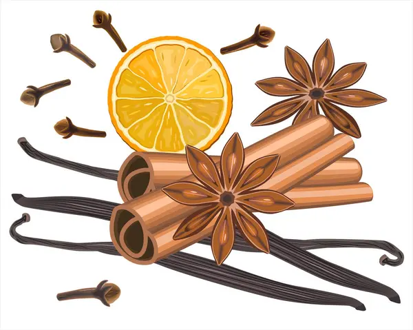 Noel için gerçek baharatlar, sıcak şarap. Noel kokusu tarçın, vanilya kabuğu, kuru portakal karanfil tomurcukları ve anason. Beyaz arka planda izole edilmiş baharatlar. Vektör illüstrasyonu EPS 10