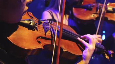 Sahnede mavi ışıkta çalan iki kemancının yakın çekimi. Orkestra performansı, canlı duygular, klasik müzik, konser atmosferi, sanat.