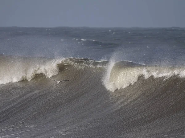 Велика Штормова Хвиля Північне Портове Узбережжя — стокове фото