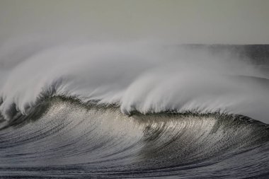 Büyük dalgalar Rüzgar sprey ile kırma. Kuzey Portekiz kıyısında.
