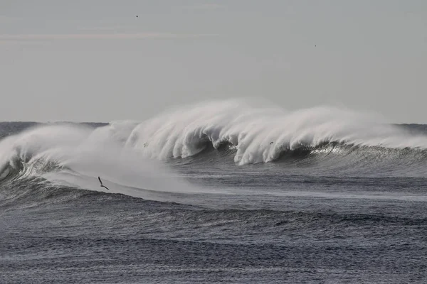 Stormy Breaking Wave Wind Spray Northern Portuguese Coast — Stockfoto