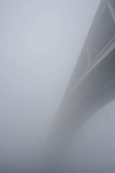 Famoso Puente Arrabida Sobre Río Duero Niebla — Foto de Stock