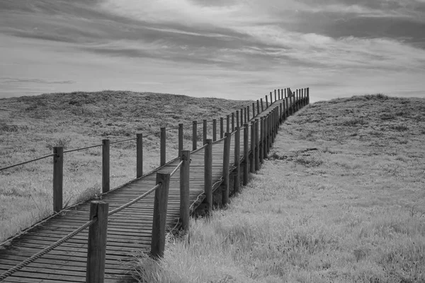 Coastal Sand Dune Walkway North Portugal Used Infrared Filter Converted — Stock Photo, Image