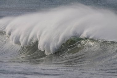 Büyük fırtınalı bir dalga. Kuzey Portekiz kıyıları.