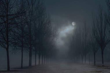 Halk parkında sisli bir dolunay gecesi