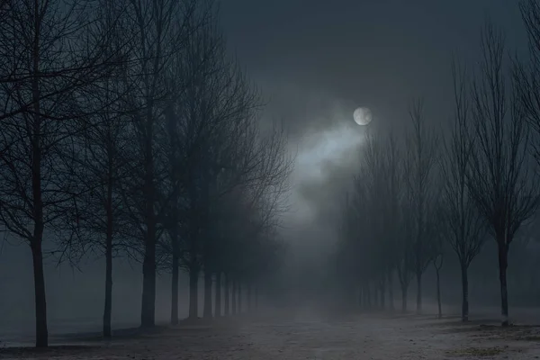 Foggy Fullmåne Natt Offentlig Park — Stockfoto