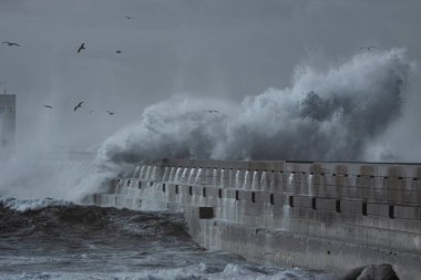 Big wave splash. Used infrared filter. 