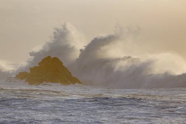 Soft backlit stormy wave splash at sunset. Northern portuguese ricky coast.