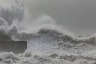 Rough sea at the Douro river mouth, north of Portugal