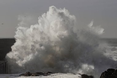 Büyük dalga sıçraması. Kuzey Portekiz kayalık kıyıları.