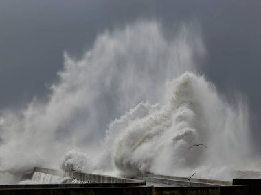 Büyük fırtınalı dalgalar sıçradı ve püskürtüldü. Nemle filtrelenmiş ilginç bir ışık.