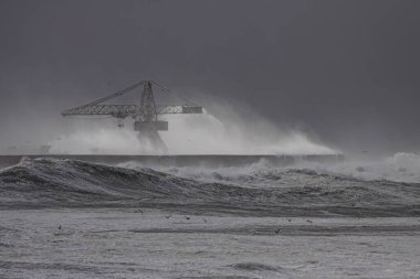 Heavy sea storm. Leixoes harbor north wall.