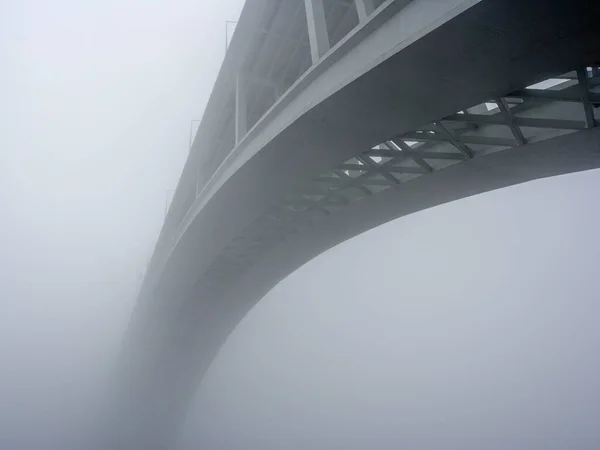 Schöne Arrabida Brücke Über Den Douro Fluss Einem Nebligen Frühen — Stockfoto