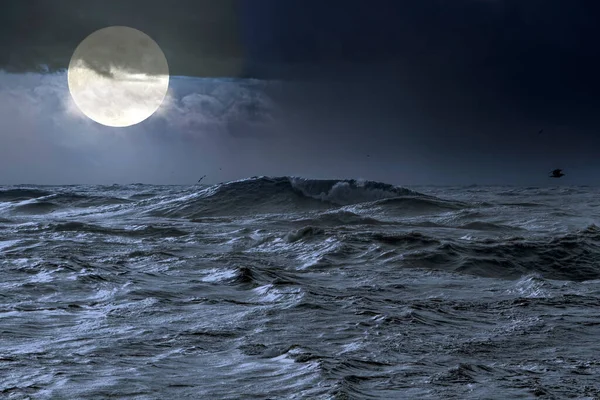 満月の夜の海景 — ストック写真