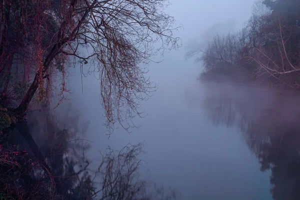 Nebeliger Fluss Morgengrauen Nord Portugal — Stockfoto