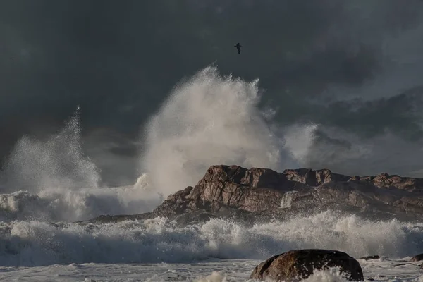 Stora Stormiga Våg Stänk Mot Mörk Himmel Norra Portugals Steniga — Stockfoto