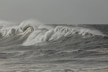 Güneşli bir günde rüzgarla dalgaları yarmak