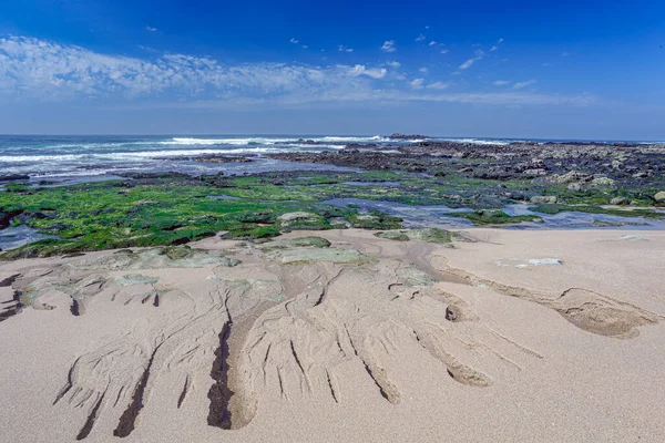 Vakker Tom Strand Havet Fra Nord Portugal – stockfoto