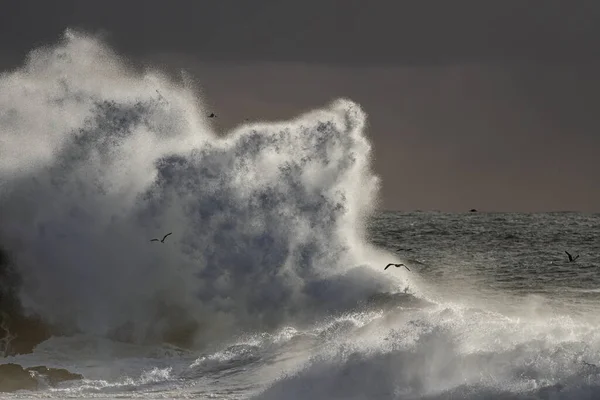 Büyük Fırtınalı Dalga Sıçrama Kuzey Portekiz Kıyısında — Stok fotoğraf