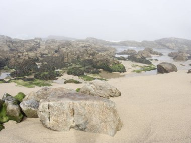 Kuzey Portekiz sahillerinden yazın ilk günü gelen huzurlu sisli kayalık plaj.