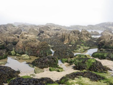Kuzey Portekiz sahillerinden yazın ilk günü gelen huzurlu sisli kayalık plaj.