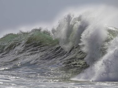 Detailed powerful wave breaking on the northern portuguese rocky coast. clipart