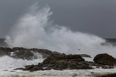 Kuzey Portekiz sahillerinde, rüzgar rüzgarları ile çarpan dramatik fırtına dalgaları..