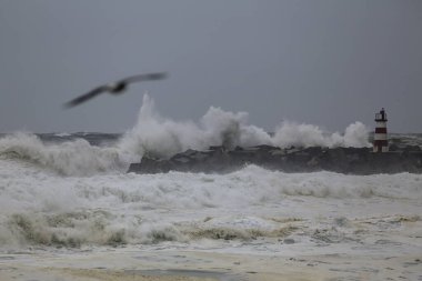 Portekiz 'in kuzeyindeki şiddetli fırtına sırasında Povoa de Varzim limanı girişi.