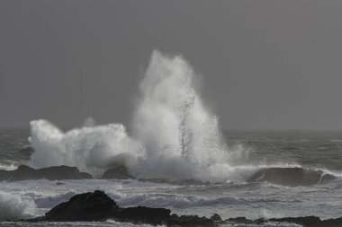 Deniz dalgası sıçraması. Kuzey Portekiz kayalık kıyıları. Kış akşamı ışığı.