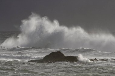 Deniz dalgası sıçraması. Kuzey Portekiz kayalık kıyıları. Kış akşamı ışığı.