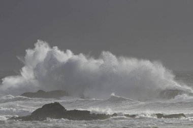 Deniz dalgası sıçraması. Kuzey Portekiz kayalık kıyıları. Kış akşamı ışığı.