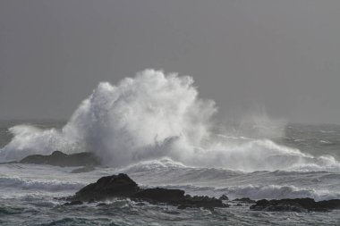 Deniz dalgası sıçraması. Kuzey Portekiz kayalık kıyıları. Kış akşamı ışığı.
