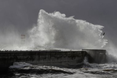 Portekiz 'in kuzeyinde, Douro Nehri' nin ağzındaki iskele ve fenerde fırtına var.