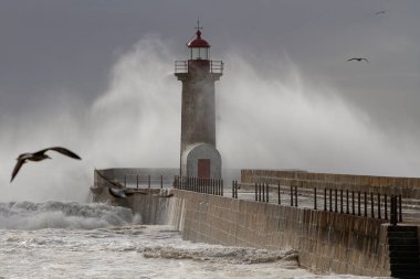 Fırtınalı dalgalar Douro nehri ağzındaki deniz fenerine ve rıhtıma sıçradı.
